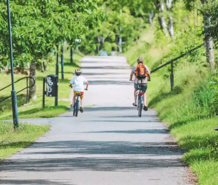 Zwei Radfahrer radeln nebeneinander weg von der Kamera